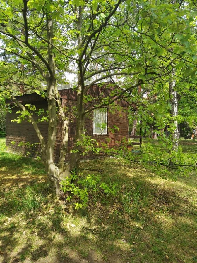 Kemp U Lesa Rokle Exterior foto